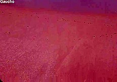 Lovely natalie ftv girls porn teen 18+ enjoy this super cute solo