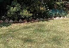 maturemons reveals my secret garden for all to see