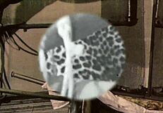 i can’t believe i found my secret life in vintage bondage like this!