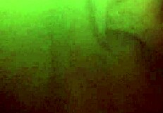 pretty ebony pussy fingered close up