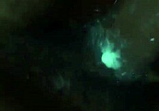 Ebony quickie anal doggystyle creampie with bent over amateurs