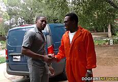 Cuckold sleduje anální děvku Britney Amber při dvojité penetraci