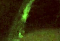 Piss in Bathtub Pissen in der Badewanne