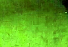 Piss in Bathtub Pissen in der Badewanne