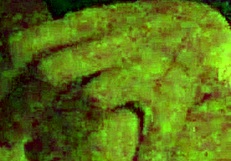 I woke up craving deepthroat blowjob