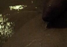 Piss in Bathtub Pissen in der Badewanne