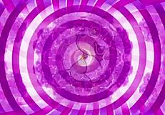 CEI 102 预告片快速预览