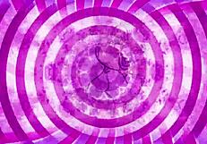 cei 102 teaser clip for quick preview