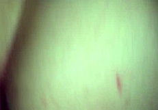 rough missionary fucked by my bull in missionary