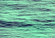 lindsey olsen hard anal sex with monster cock outdoor anal sex