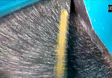 Prostitute rides cock for money