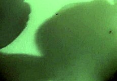 Perfect Blowjob Culminates In Creampie
