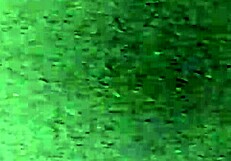 Look at this bitch with her huge hairy pussy!