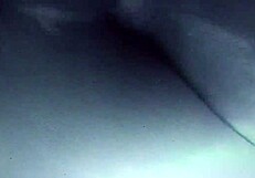 Look at this bitch with her huge hairy pussy!