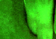 taste of my homemade treat