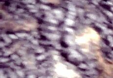 Sucking Wifes Toes While S Fucking