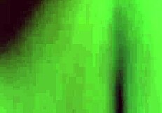 Ebony Woman Bends Over for Quick Doggy with Big Black Cock