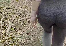 Stop Hiking And Cum Inside Me Outdoor Sex In A Public Park With Doggystyle Orgasm