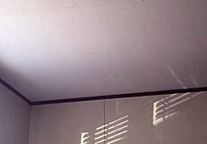 The girl bends over for doggystyle with big black cock and gives head.