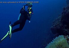 Sexy Brunette Girl In Bikini On Boat With Super Shark, Showing Off Her Curves In Detailed Scenes.