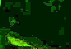 Slut Rides, Sucks, and Fucks Monster Cock