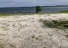 Loira casada paulista dando pro amante carioca na praia. Blonde meets lover outdoors