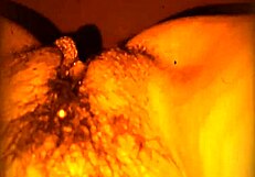 Oh wow, they lick my asshole and suck my pussy so deliciously!