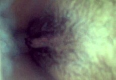 Amateurs Feel Intense Emotions During Hardcore Fucking