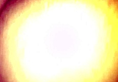 Amateur Girl Shows Her Wet Pussy Close Up