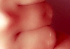 Japanese Stepsister Gives Uncensored Blowjob to Monster Cock?