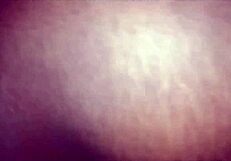 I Ate The Passista In My Barraco