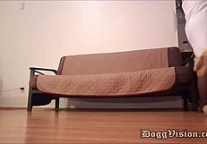 Hell yeah! Pizza man gives bareback creampie to big butt milf