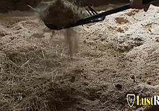 Stable Boy Bangs Sexy Brunette Babe