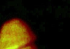 my little redhead gets oiled and wet