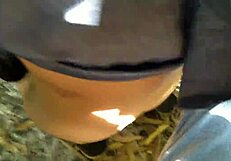 Desi Girlfriend Fucked Outdoors in Hardcore Doggy