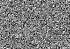 Tomb Raider Randomness With Accidents Monsters And Bloopers Outdoors