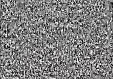 Tomb Raider Randomness With Accidents Monsters And Bloopers Outdoors