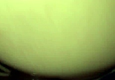 Hot teen begs for hard fuck and creampie