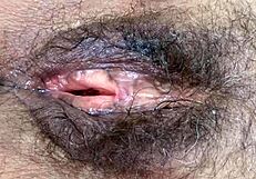 look at my big hairy pussy after hours of fucking and huge cumshots.