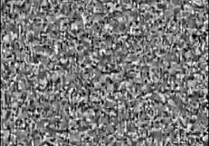 Tomb Raider Randomness With Accidents Monsters And Bloopers Outdoors