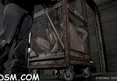 Imagine tied up tits being gratified with toys in a hardcore bondage fetish group scene.