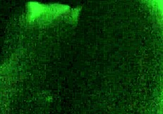 nottee n nv having fun with footjob cumshot all night long. we can't stop messing around!