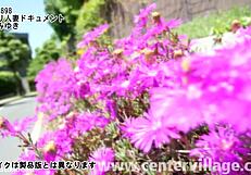 このアジアン妻がドキュメンタリーで初中出しされるの見ろ