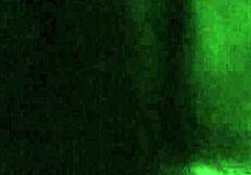 Нотти и Нев развлекаются футджобом с камшотом всю ночь напролет, не можем остановиться!