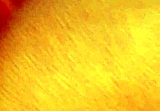 dozier313 shares homemade outdoor ebony bbw video