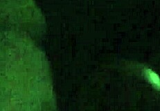 nottee n nv having fun with footjob cumshot all night long. we can't stop messing around!