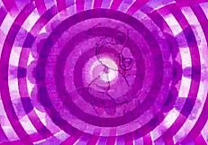 confused sissy teases with intriguing mystery