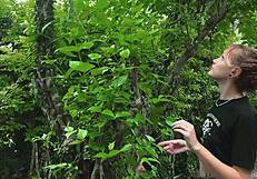 beauty from the park gets tied up in wild outdoor fun