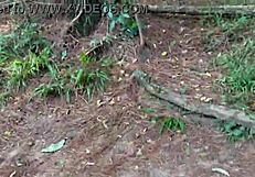 i saw her naked in the woods with big butt