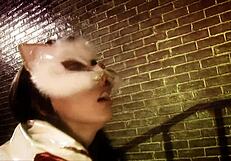 Pussy Whore Lezley Zen